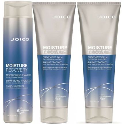 Joico Moisture Recovery Ultimate Bundle