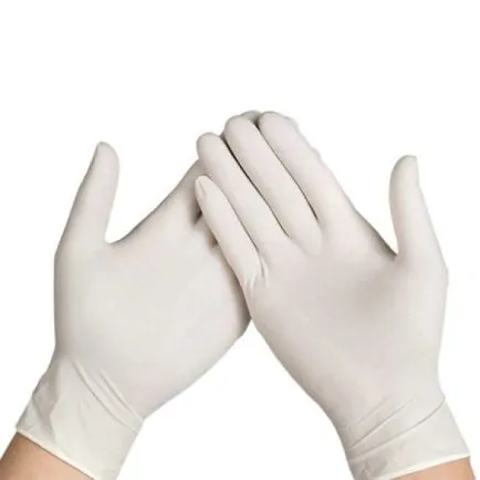 Latex Powder Free Glove Large 100 Pack