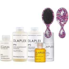 Olaplex Ultimate Hair Bundle With FREE Wetbrush Mini Detangler
