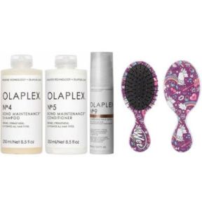 Olaplex Haircare Nourished Hair Bundle With FREE Wetbrush Mini Detangler