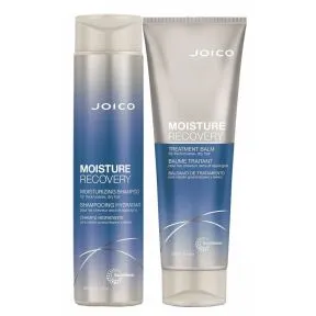 Joico Moisture Recovery Shampoo And Conditioner