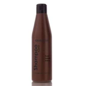 Salerm Colour Shampoo Brown 250ml