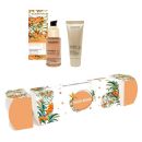 Academie Youth Repair Cracker Skincare Gift Set