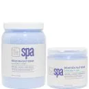 BCL Lavender and Mint Dead Sea Salt Soak 3oz