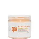 BCL Mandarin and Mango Dead Sea Salt Soak 16oz