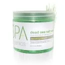 BCL Spa Lemongrass & Green Tea Dead Sea Salt Soak 16oz