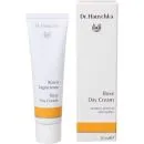 Dr Hauschka Beautiful Morning Routine Set