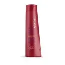 Joico Color Violet Endure Sulfate Free Conditioner 300ml
