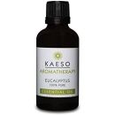 Kaeso Aromatherapy Eucalyptus Essential Oil 50ml