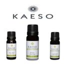 Kaeso Aromatherapy Bergamot Essential Oil 10ml