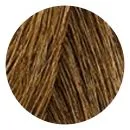 L'Oreal Professionnel Hair Touch Up Warm Blonde 75ml