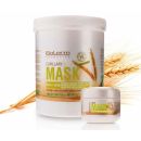 Salerm Wheat Germ Mask 200ml
